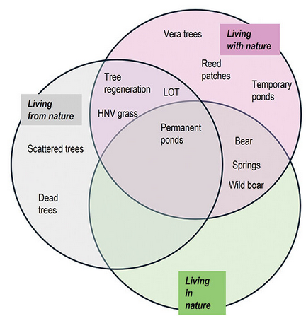 The natural features of the wood-pasture arranged in the three categories of nature values