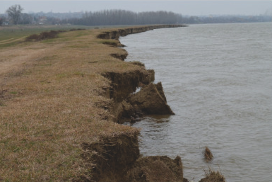 Riverbank erosion in Facaieni study area, 2023. (Photo: Cornel Mocanu)
