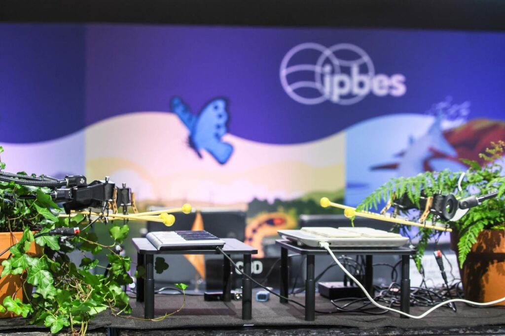 IPBES 12 opened with a musical performance by Bionic & the Wires, who connect bionic arms to plants to enable them to play music.