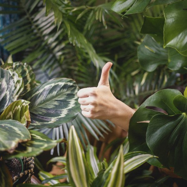 2000katya-ross-4Vg6ez9jaec-unsplash 2000katya-ross-4Vg6ez9jaec-unsplash