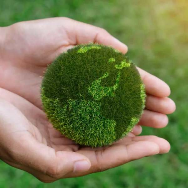 earth-in-hands-save-of-earth-world-environment-da-2022-12-01-06-02-11-utc earth-in-hands-save-of-earth-world-environment-da-2022-12-01-06-02-11-utc